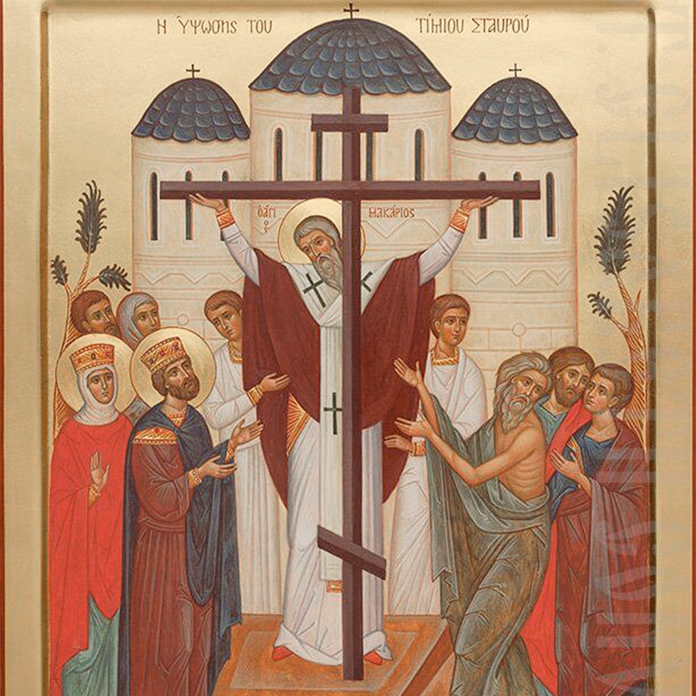 elevation of the cross icon